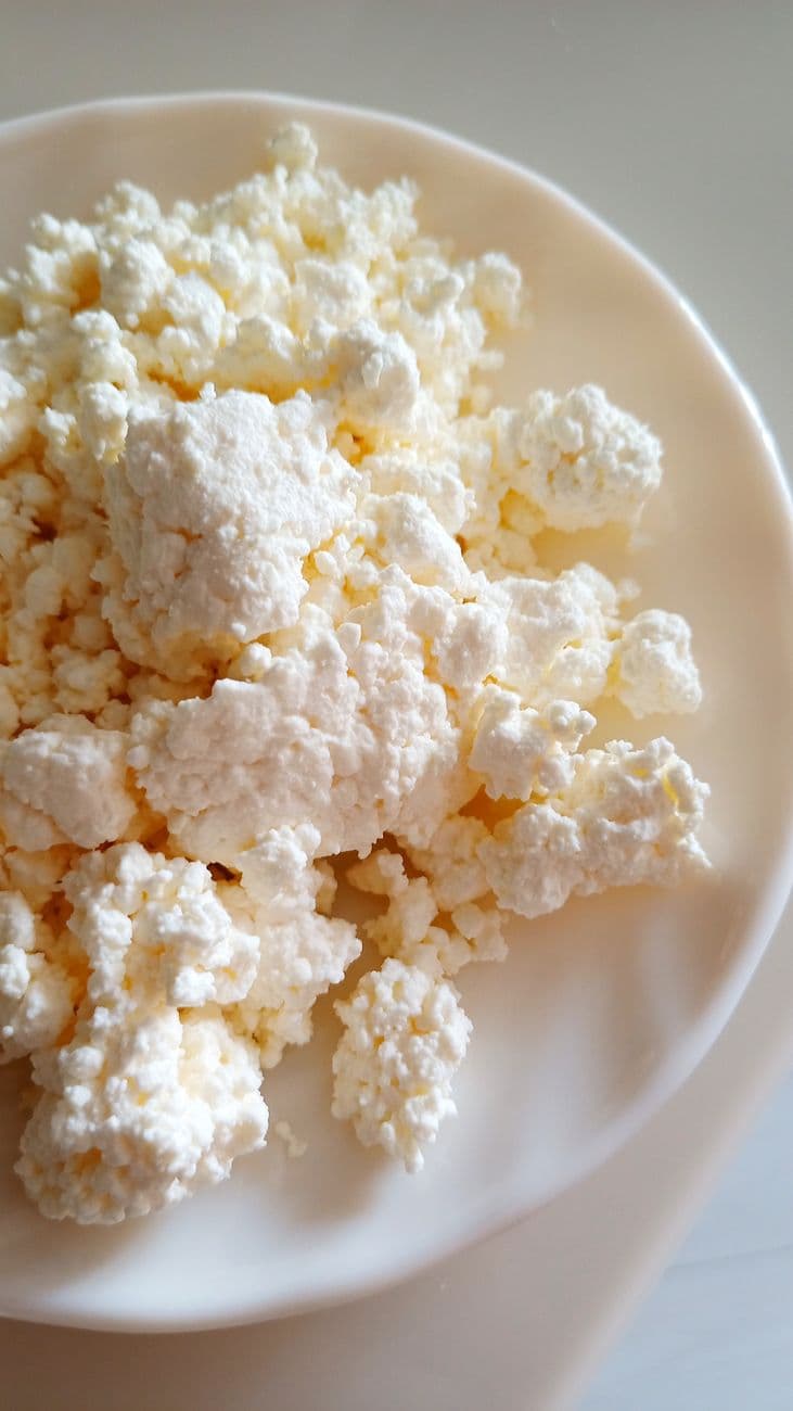 Plain Curd